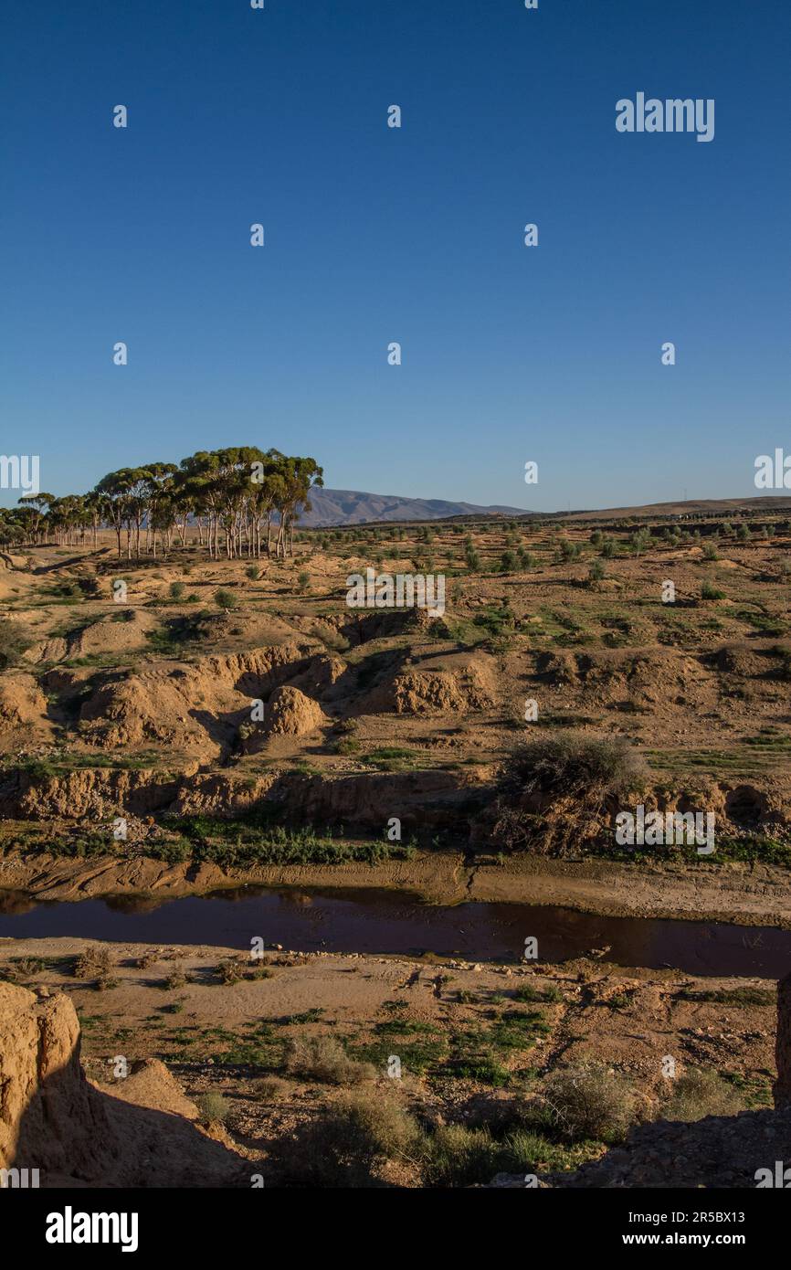 Künstlicher Fluss Fed durch aufbereitetes Wasser aus der Kläranlage der Stadt Taourirt, Marokko Stockfoto