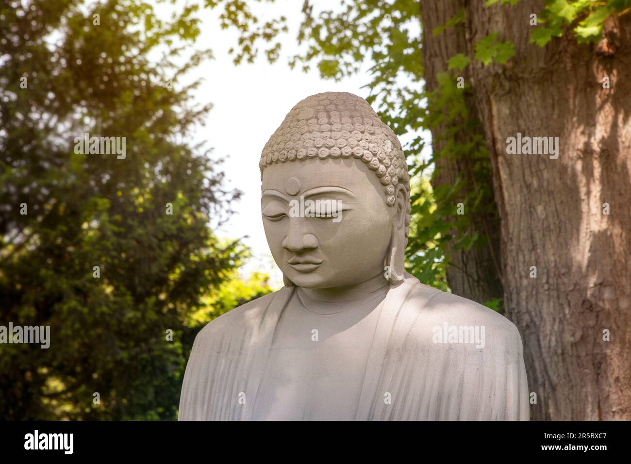 Nahaufnahme des buddha-Gesichts unter dem Baum im grünen Garten, meditierende Statue im Freien. Spiritualitätskonzept. Stockfoto