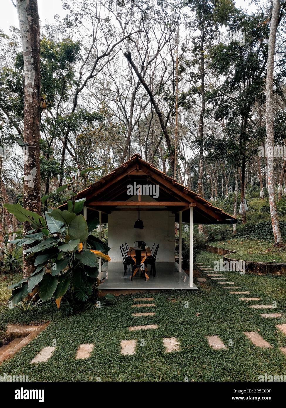Eine ruhige Outdoor-Szene mit zwei Holztischen nebeneinander in einem üppigen grünen Garten Stockfoto