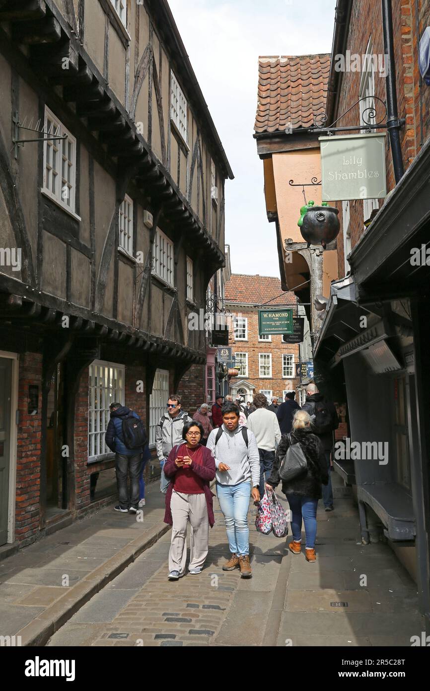 Die Shambles historische mittelalterliche Straße, York, North Yorkshire, England, Großbritannien, Großbritannien, Großbritannien, Europa Stockfoto