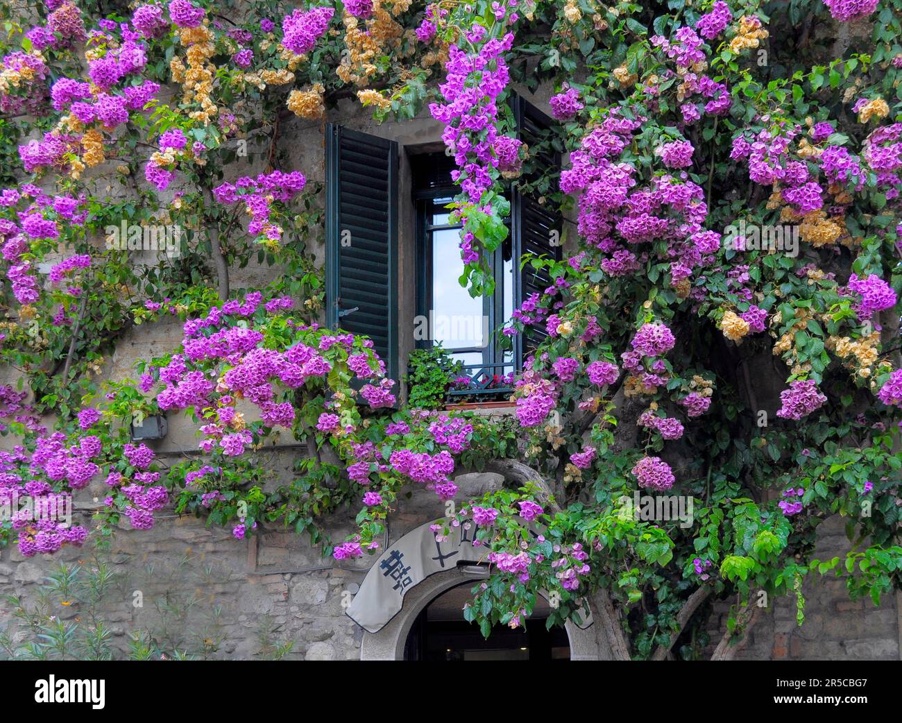Gardasee, Gardasee, Sirmione, Blumenfenster, Italien Stockfoto