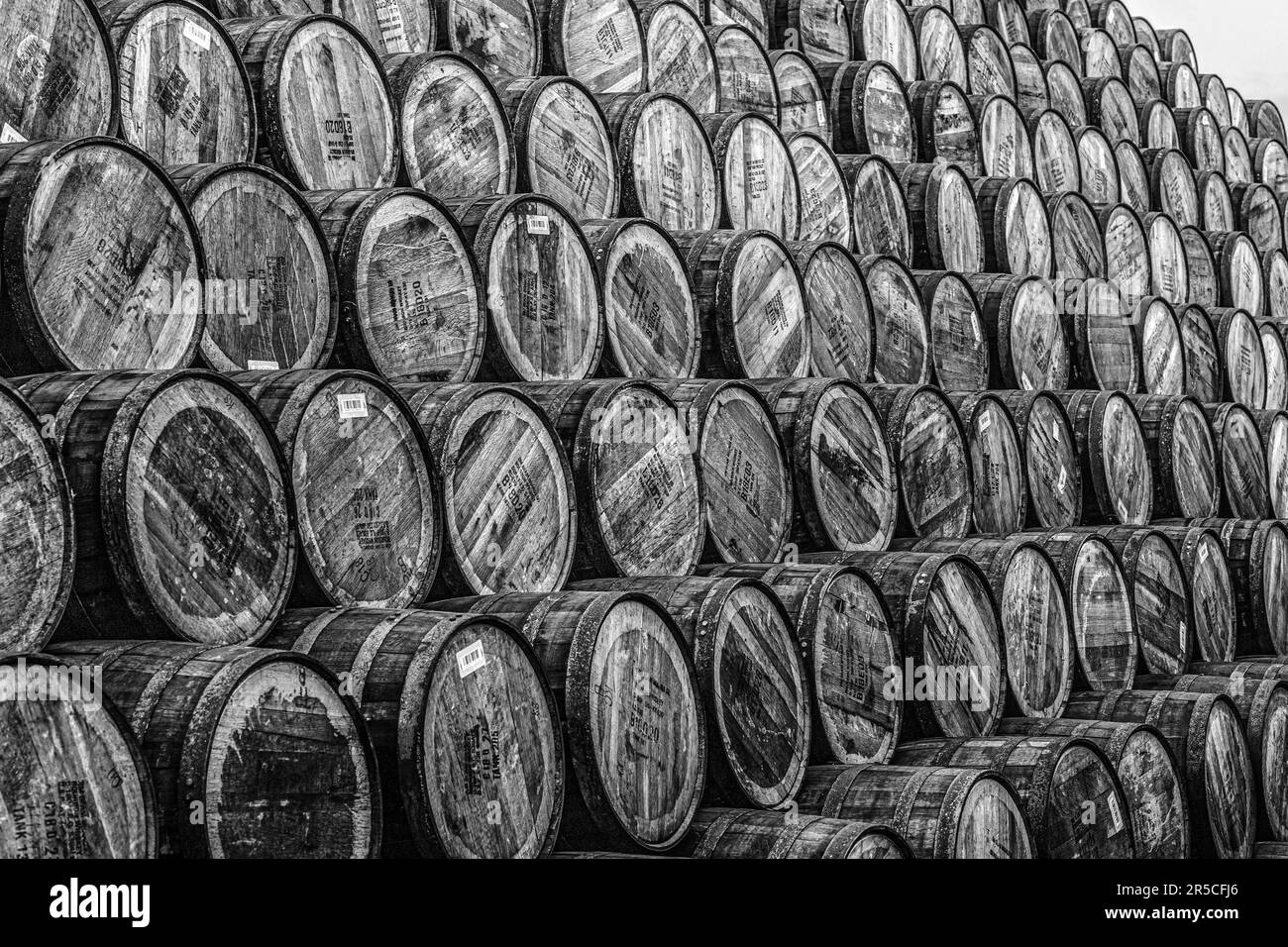 Scotland, Speyside Cooperage in Craigellachie, wo Tausende von Scotch-Whiskyfässern für den Einsatz in den Brennereien saniert und repariert werden. Stockfoto