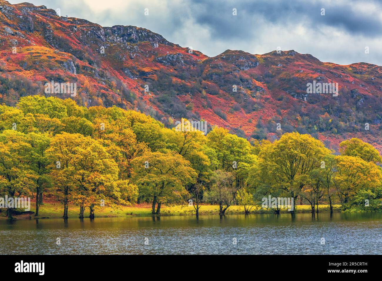 Herbstblick, Loch Lomond, Schottland, Großbritannien Stockfoto