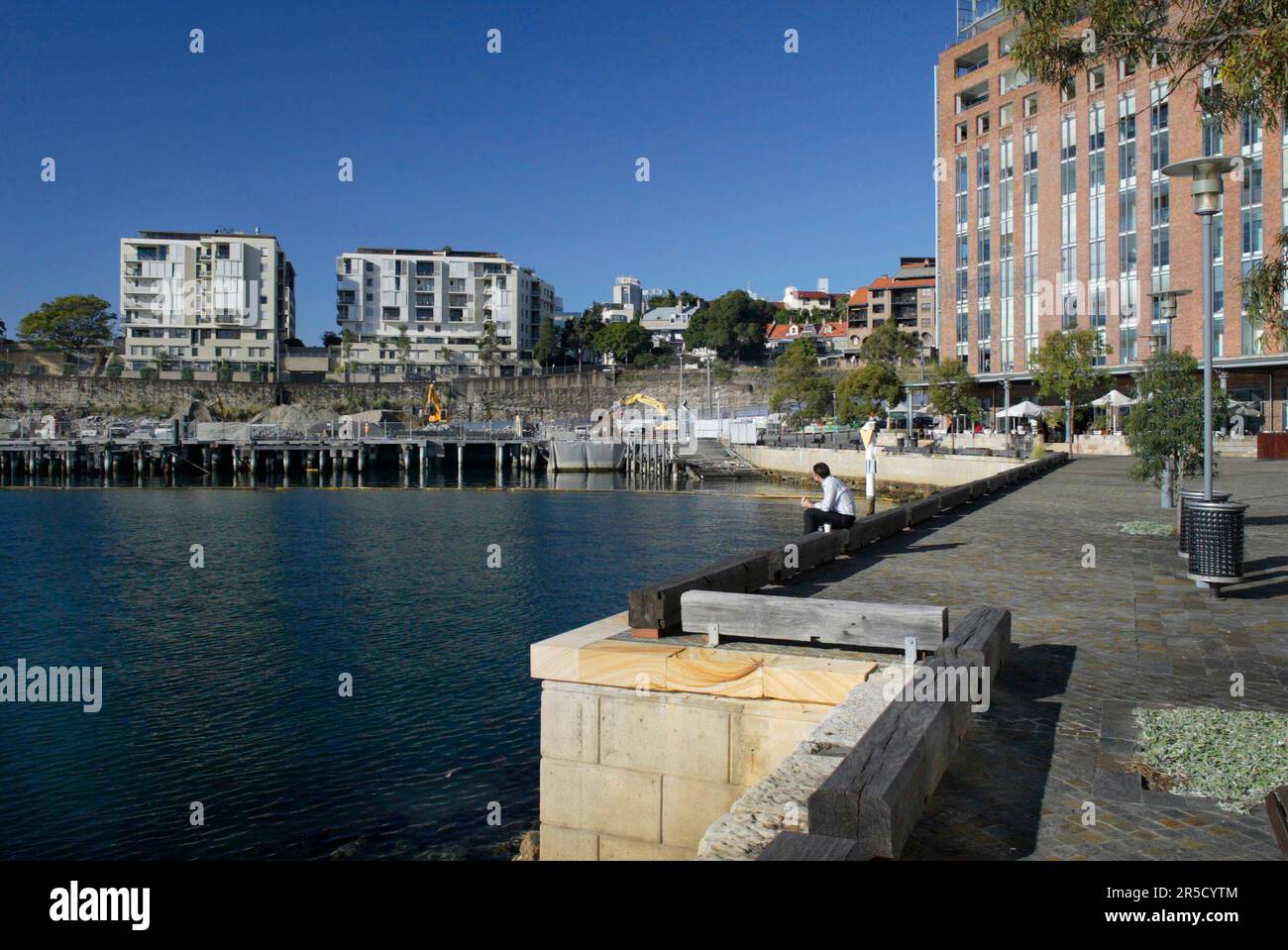 Der neue Vorort Jackson's Landing in Pyrmont, Sydney, NSW, Australien. Das Wohnviertel liegt neben der Anzac Bridge, Johnston's Bay und Glebe Island. Stockfoto