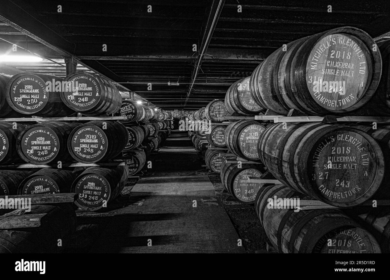 Springbank Destillery Warehouse, Campbeltown, Schottland, Vereinigtes Königreich Stockfoto