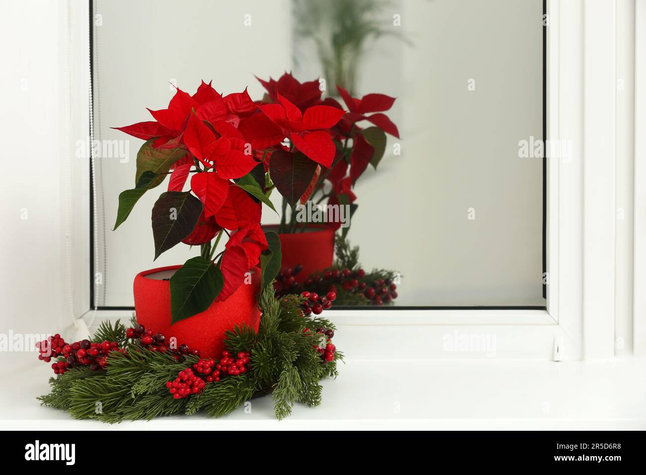 Tpfchen und festliche Einrichtung auf Fensterbank im Zimmer, Platz fr  Text. Traditionelle Weihnachtsblume Stockfotografie - Alamy