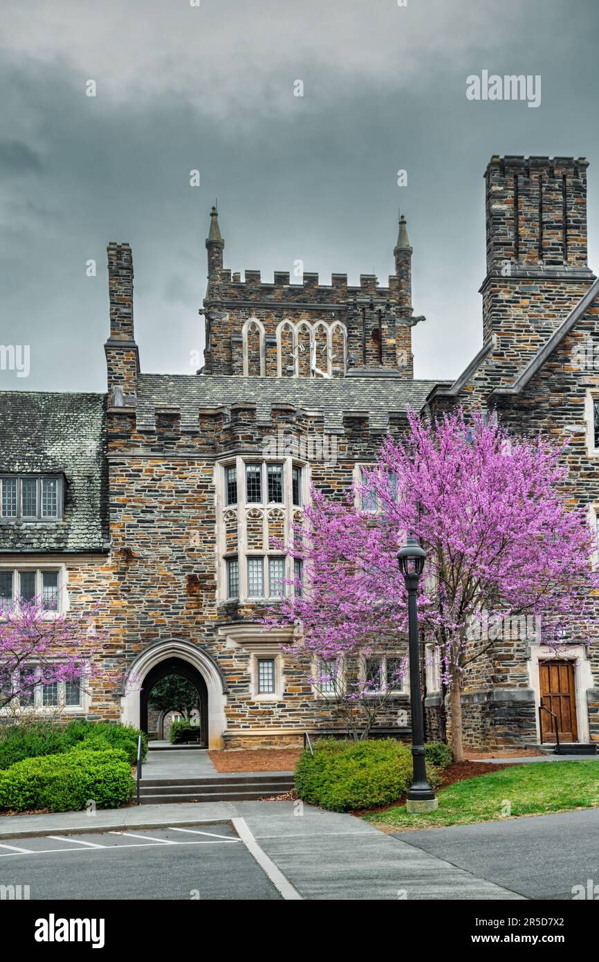 Campus der Duke University in Durham, North Carolina, USA Stockfoto