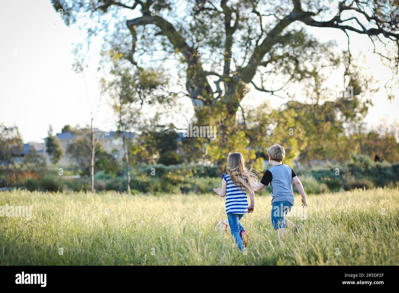 Junge und Mädchen Rennen durch langes Gras und spielen Fußball im Park. Australische Kinder haben Spaß im Freien in der Natur Stockfoto