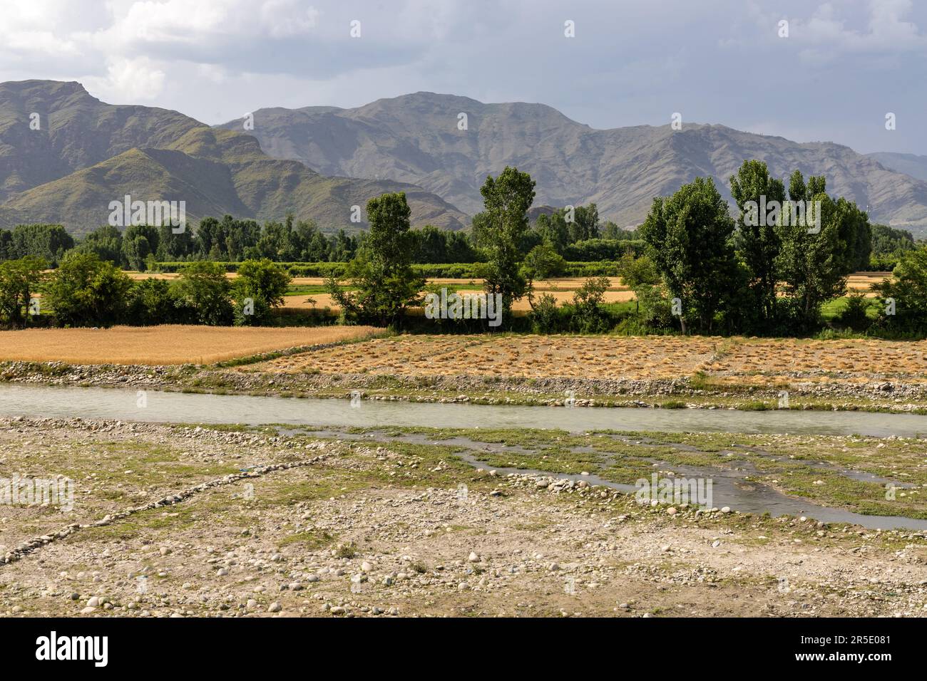 Wunderschöne Landschaft mit Weizenfeldern an einem Flussufer des swat-Flusses in Pakistan Stockfoto