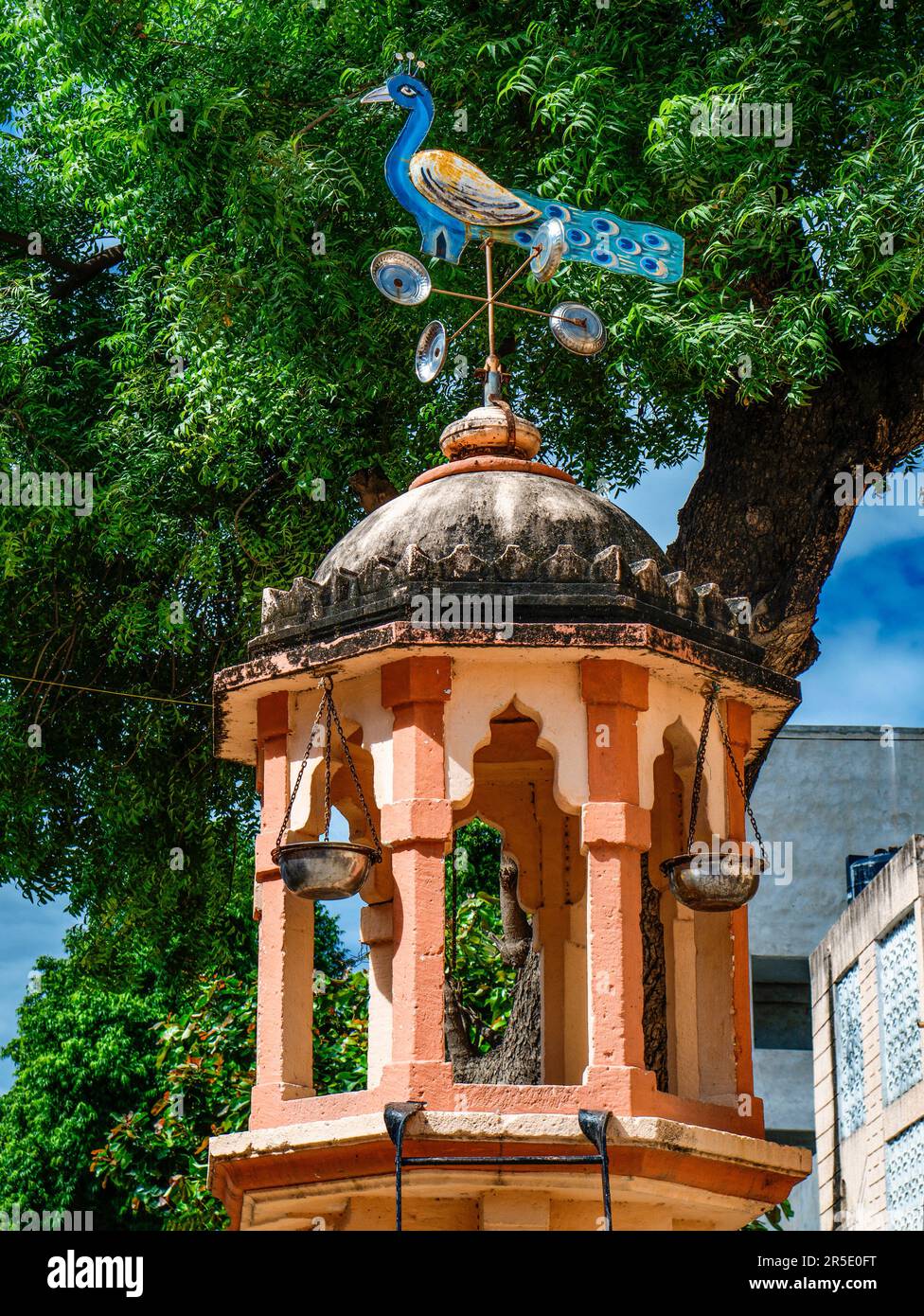 30. Oktober 2019 National Bird Peacock on Vintage Traditional Bird House, bekannt als Chabutra oder Chabutra in der Altstadt von Khedbrahma Sabarkantha North Gu Stockfoto