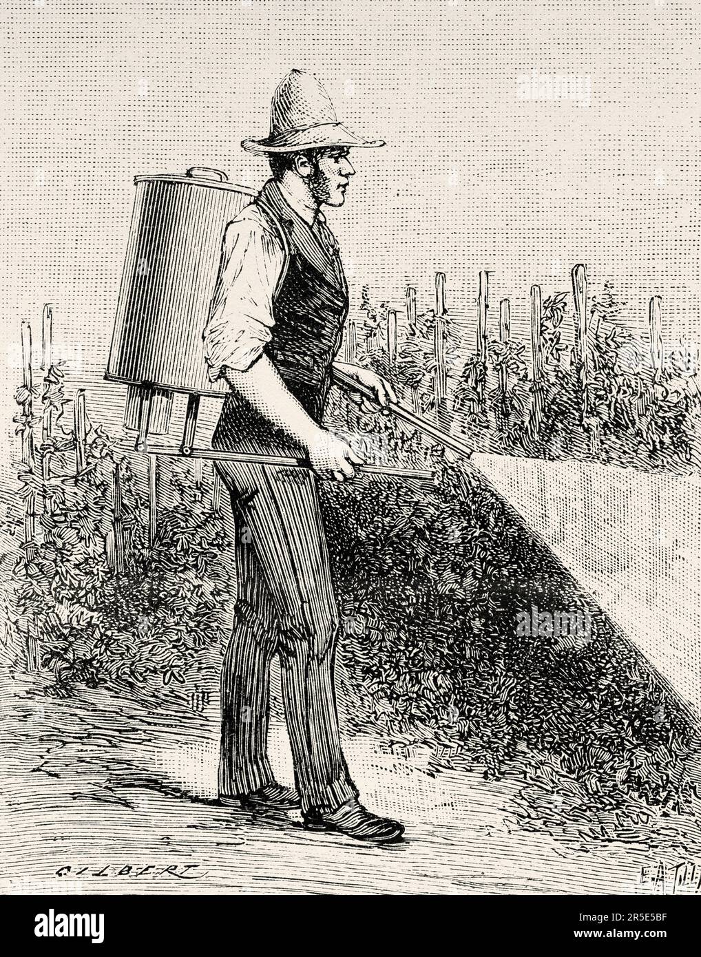 Vigouroux-Gerät zur Schimmelbekämpfung. Alte Gravur aus dem 19. Jahrhundert aus La Nature 1887 Stockfoto