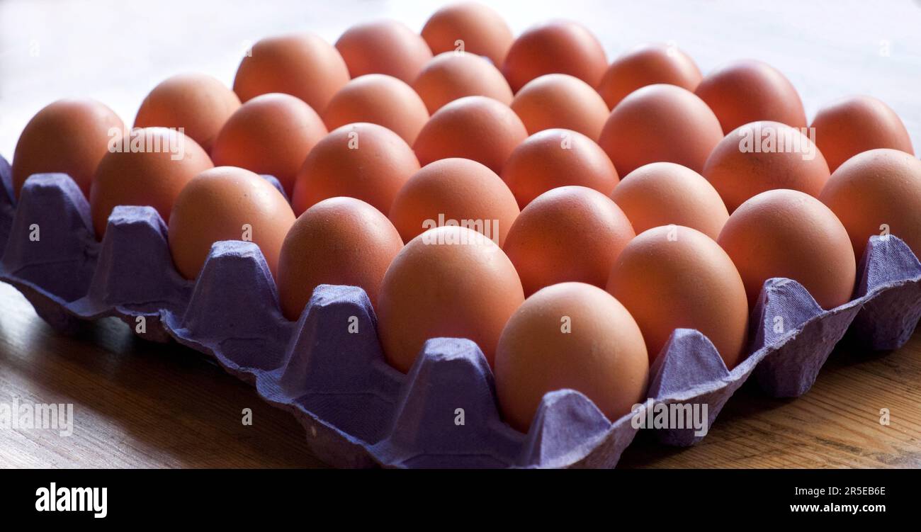 30 Eier in einem blauen Eiertablett Stockfoto