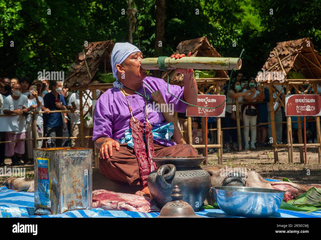 Ein Thailänder trinkt während des Pu SAE Ya SAE Festivals in Chiang Mai Wasser mit „ Medium “. Das Festival ist einzigartig und wird nicht oft von Außenstehenden bezeugt. Es wird jedoch jährlich in den Ausläufern des Doi Kham Mountain veranstaltet, um zwei uralten Riesengeistern, Pu SAE und Ya SAE, zu Ehren zu richten. Die Legende besagt, dass unter den Lua-Leuten, die um Doi Kham lebten, auch die beiden Riesen lebten, die Kannibalen waren. Der Buddha kam nach Doi Kham und überredete sie, ihre Wege zu reformieren. Bevor er ging, gab er Pu SAE und Ya SAE ein Haarrelikt und wies sie an, jeden Tag zu ehren. Daran erinnert man sich in einer Zeremonie, die beinhaltet Stockfoto