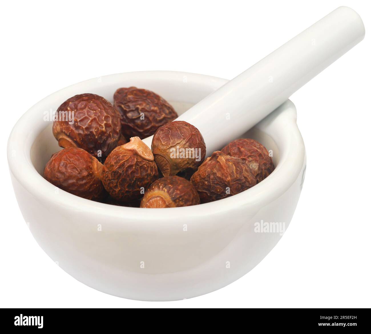 Sapindus Mukorossi oder Indische soapberry in vielen pharmakologische und Reinigung verwendet Stockfoto