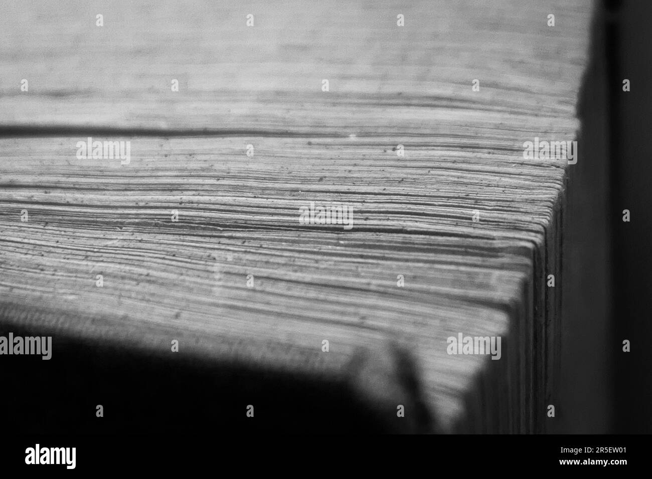 Nahaufnahme von Seiten in einem Buch in Schwarzweiß Stockfoto