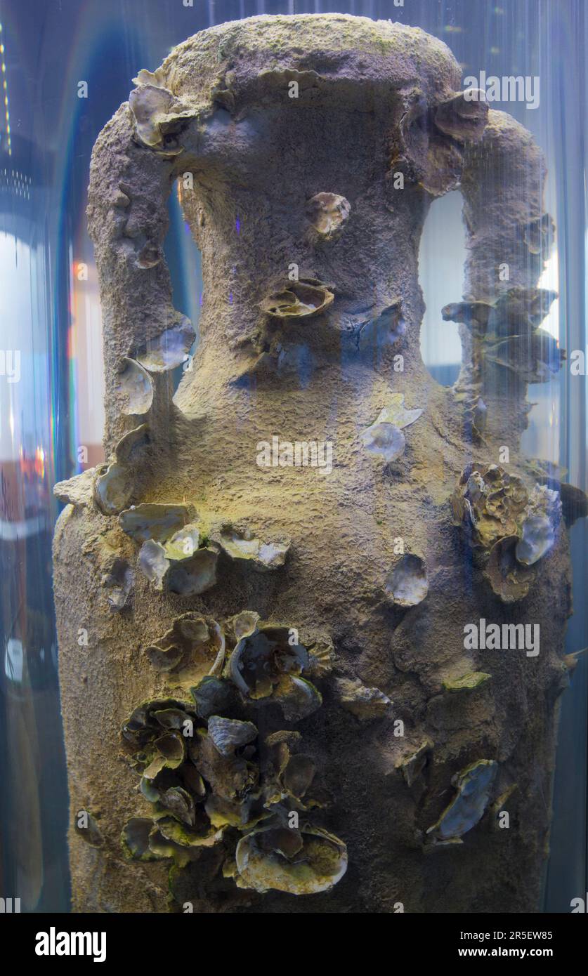 Cartagena, Spanien - 14. September 2018: Mit Muscheln überzogene Amphora. ARQUA National Museum of Underwater Archaelogy Stockfoto
