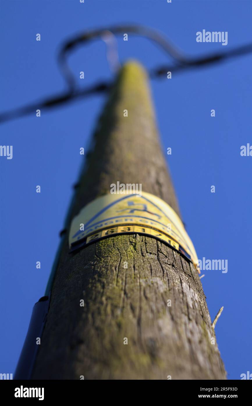 Ein Telegrafenmast Stockfoto