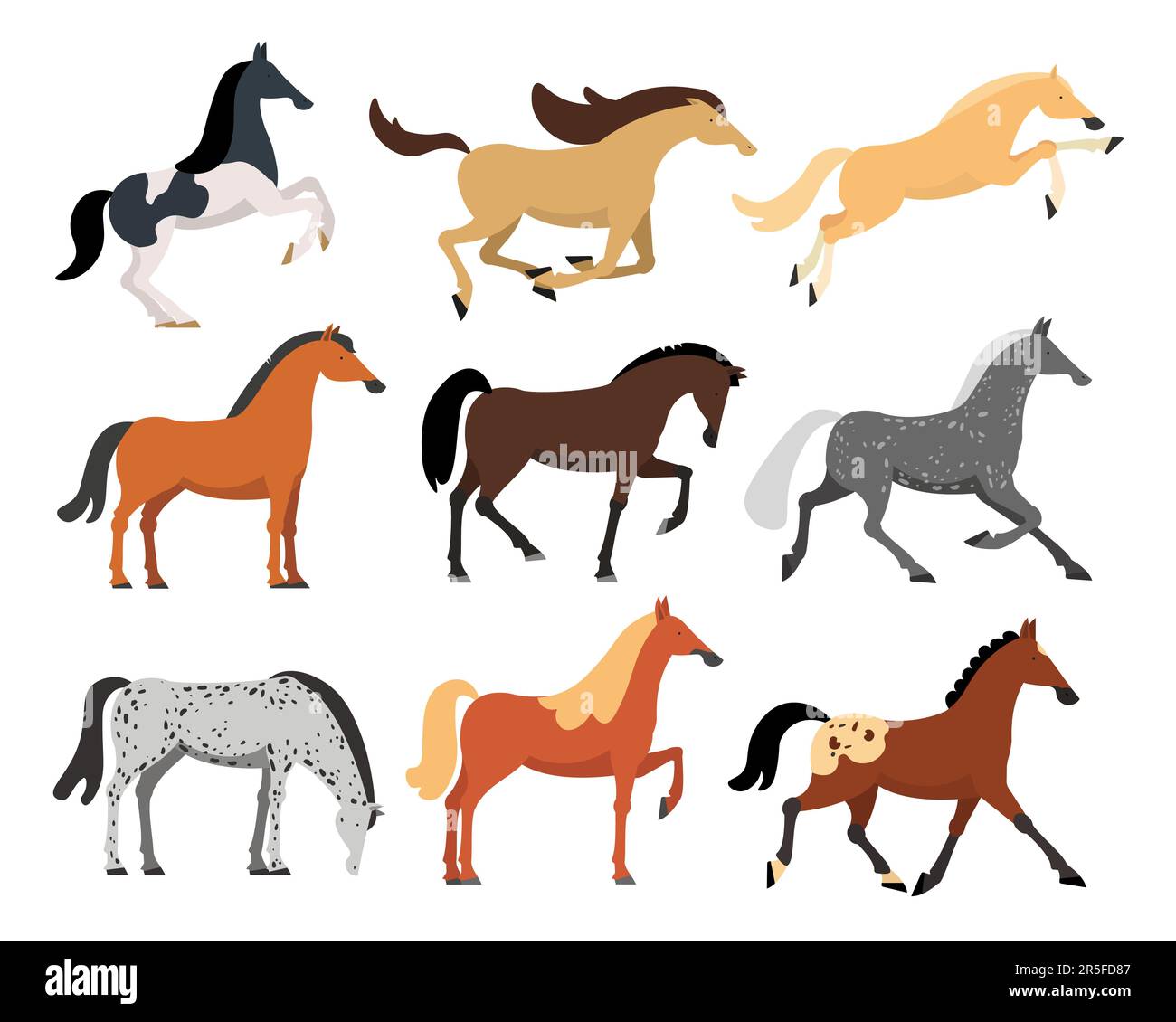 Pferde verschiedener Rassen Flachvektorbilder eingestellt Stock Vektor
