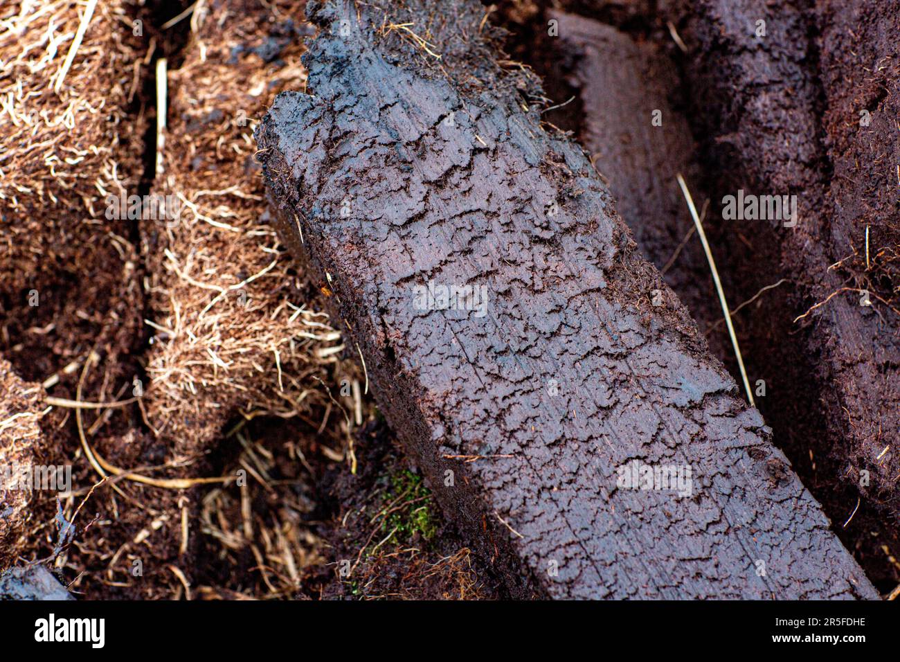 Am Ufer des Loch Gorm in Islay, Schottland Stockfoto