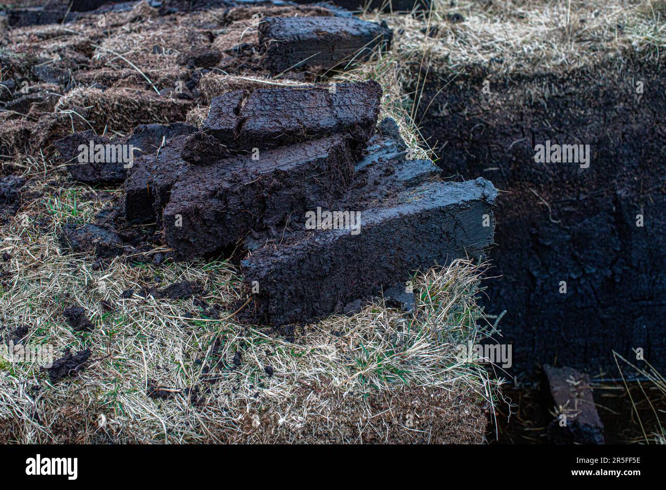 Am Ufer des Loch Gorm in Islay, Schottland Stockfoto