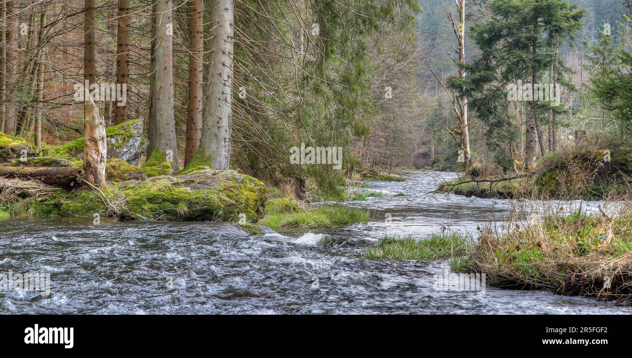 Ein wilder Fluss schlängelt sich durch einen dichten Wald, flankiert von majestätischen Felsen. Die unberührte Natur strahlt ein Gefühl der Einsamkeit und Ruhe aus. Stockfoto