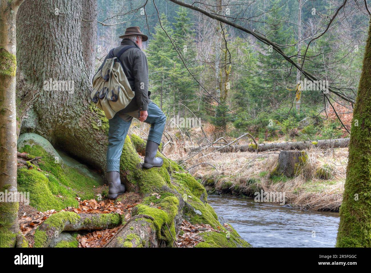 Ein Wanderer steht auf der mächtigen Wurzel eines Baumes am Ufer des wilden Flusses. Stockfoto
