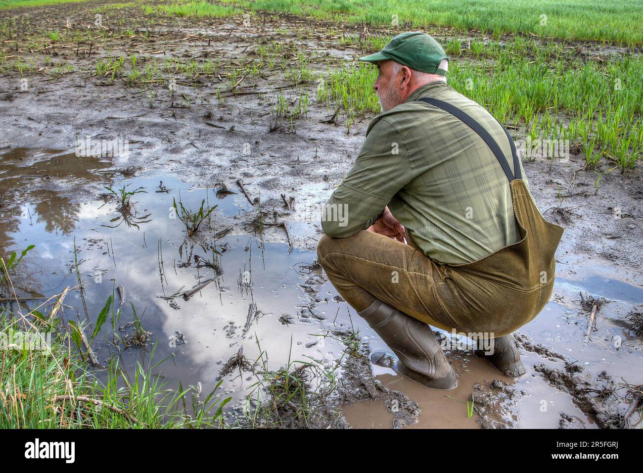 Während der Bauer sein überflutetes Feld untersucht, fühlt er ein Gefühl der Verzweiflung. Stockfoto