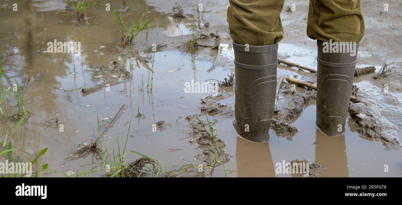 Der Bauer steht auf seinem Feld, das durch starken Regen zerstört wurde, mit seinen Gummistiefeln bis zu den Knöcheln im Schlamm. Stockfoto