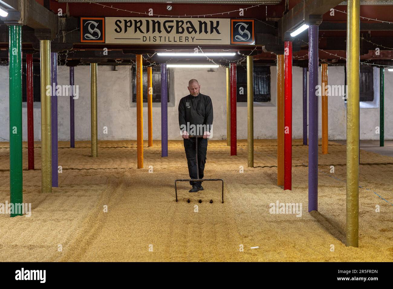 Springbank-Brennerei Gerstenmalz auf Mälzboden in der Brennerei, Whisky-Herstellungsverfahren, Schottland, Vereinigtes Königreich Stockfoto