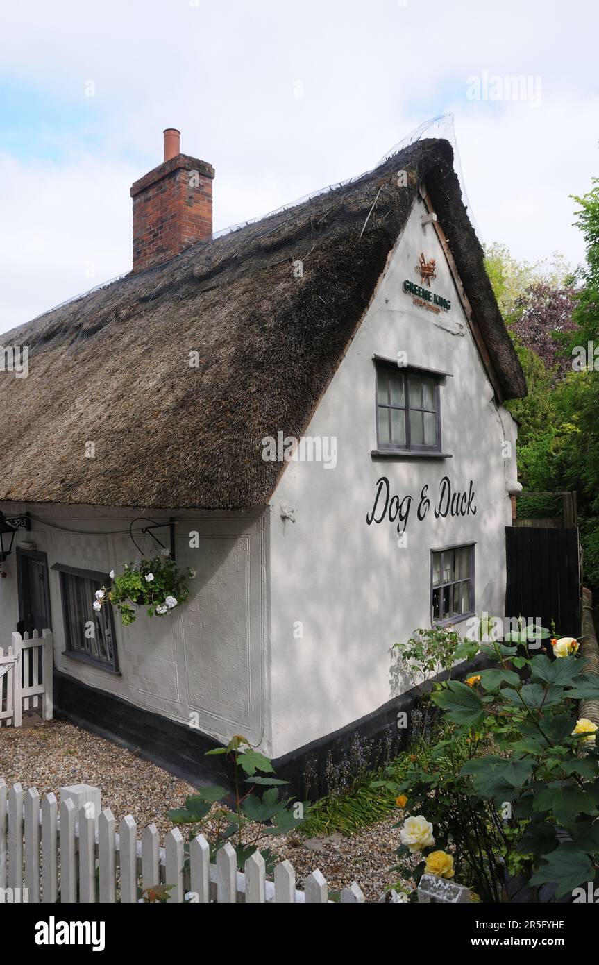 Dog & Duck Inn, High Street, Linton, Cambridgeshire Stockfoto