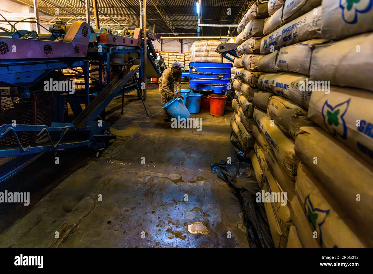 Ein Arbeiter trägt Eimer durch die Produktionshalle der Fabrik auf der Satemwa-Plantage in der Nähe von Thyolo, Malawi, gefüllt mit Maschinen und Papiertüten. Satemwa ist die letzte familiengeführte Teefarm in Malawi. Stockfoto