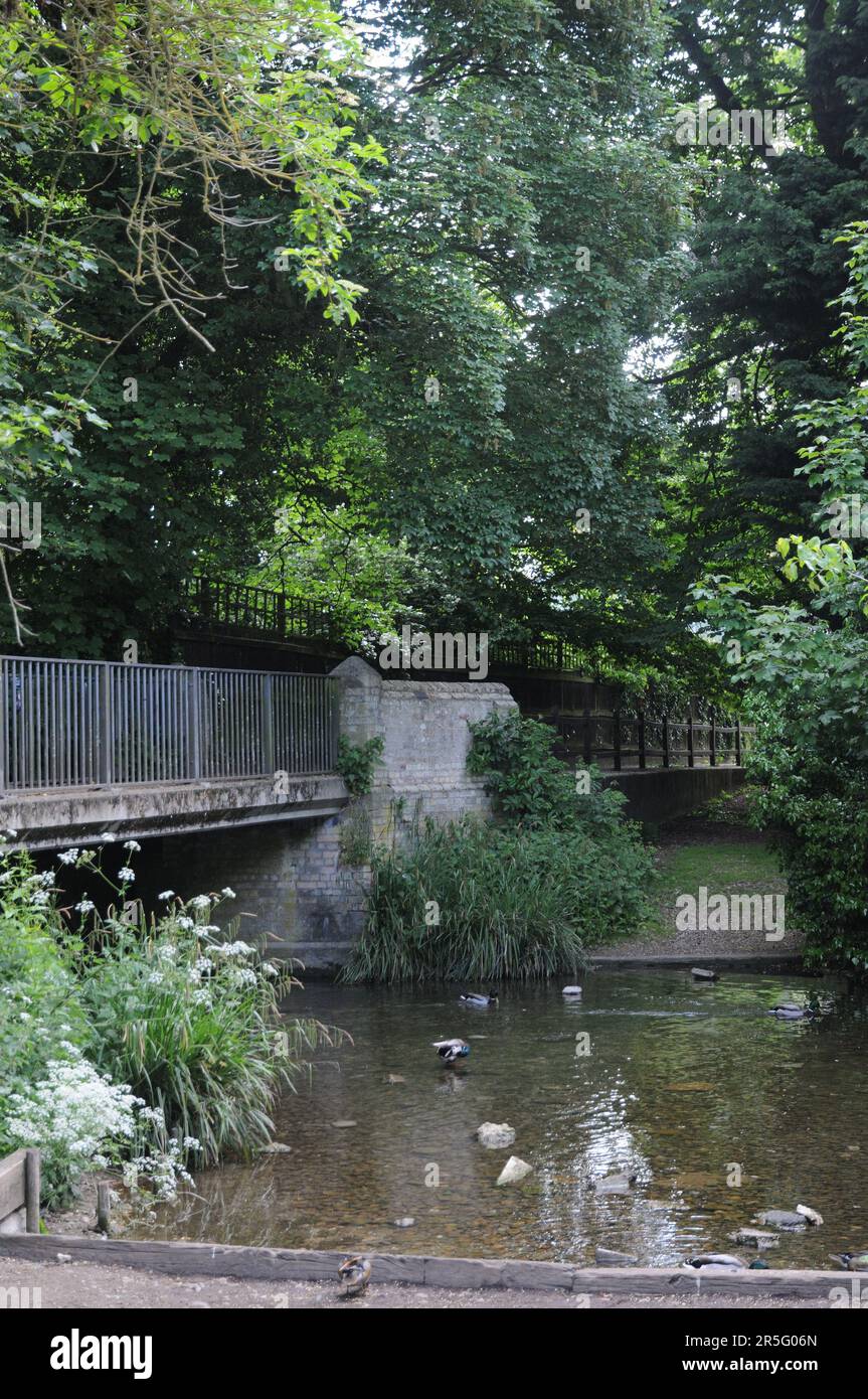 Fluss Granta, Linton, Cambridgeshire Stockfoto