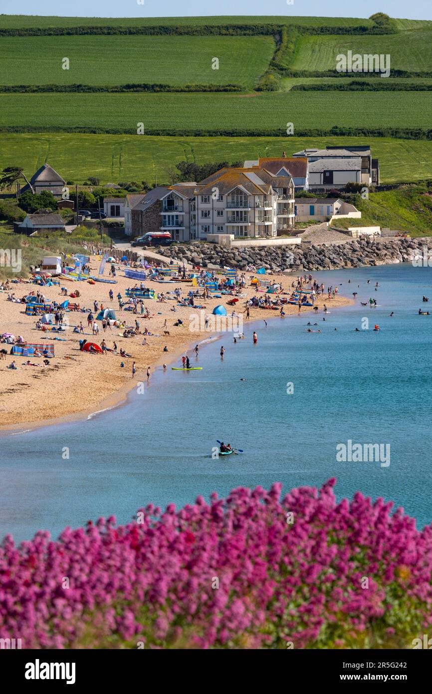 03.06.23. DEVON-WETTER. Die Menschen nutzen das warme Wetter am South ...