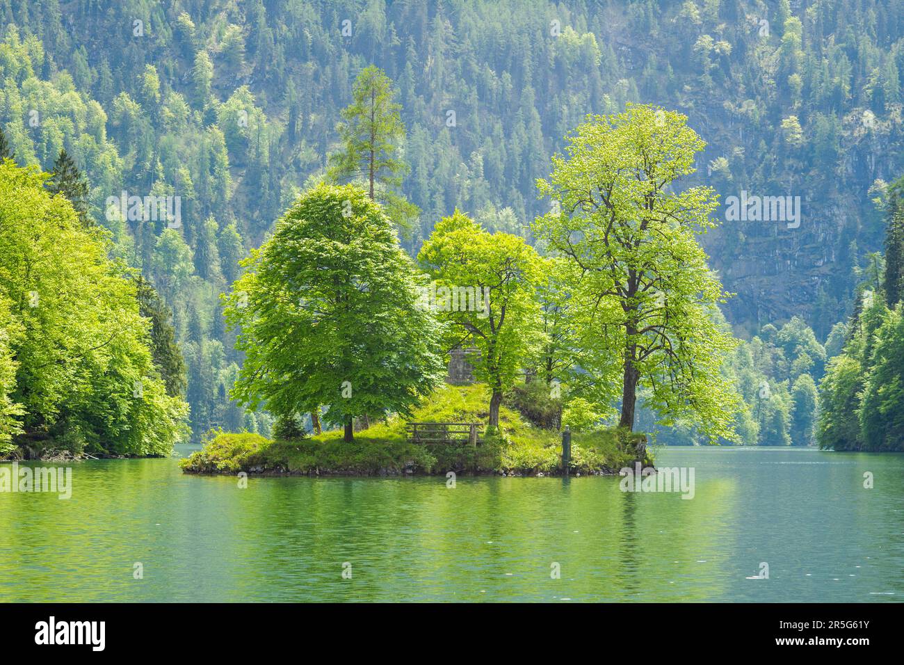 Insel mit Bäumen am See Stockfoto