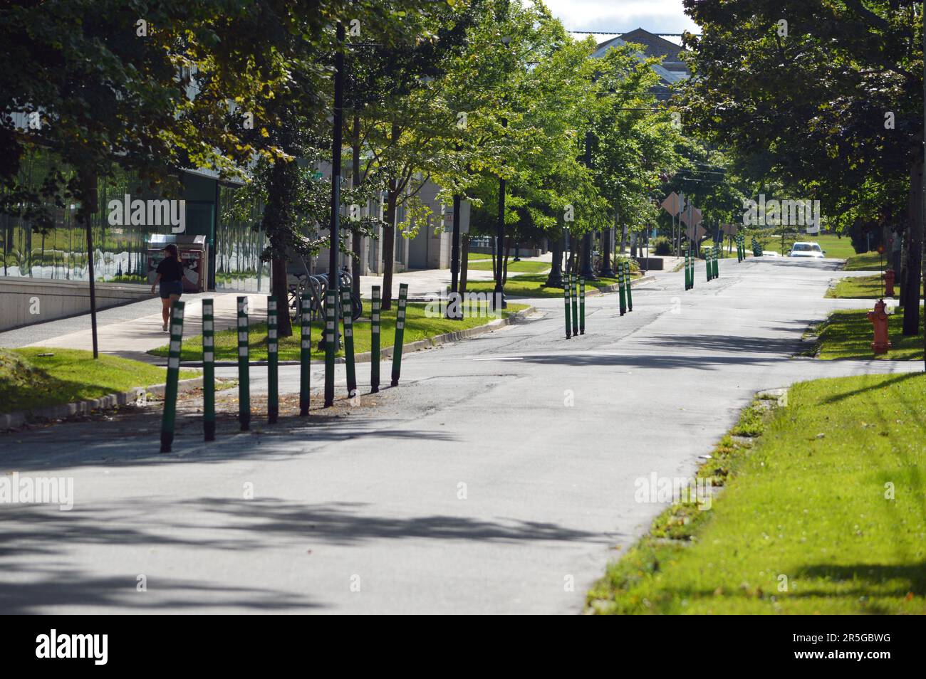 University Avenue mit Fahrradweg in Halifax, Nova Scotia, Kanada, auf dem Campus der Dalhousie University Stockfoto