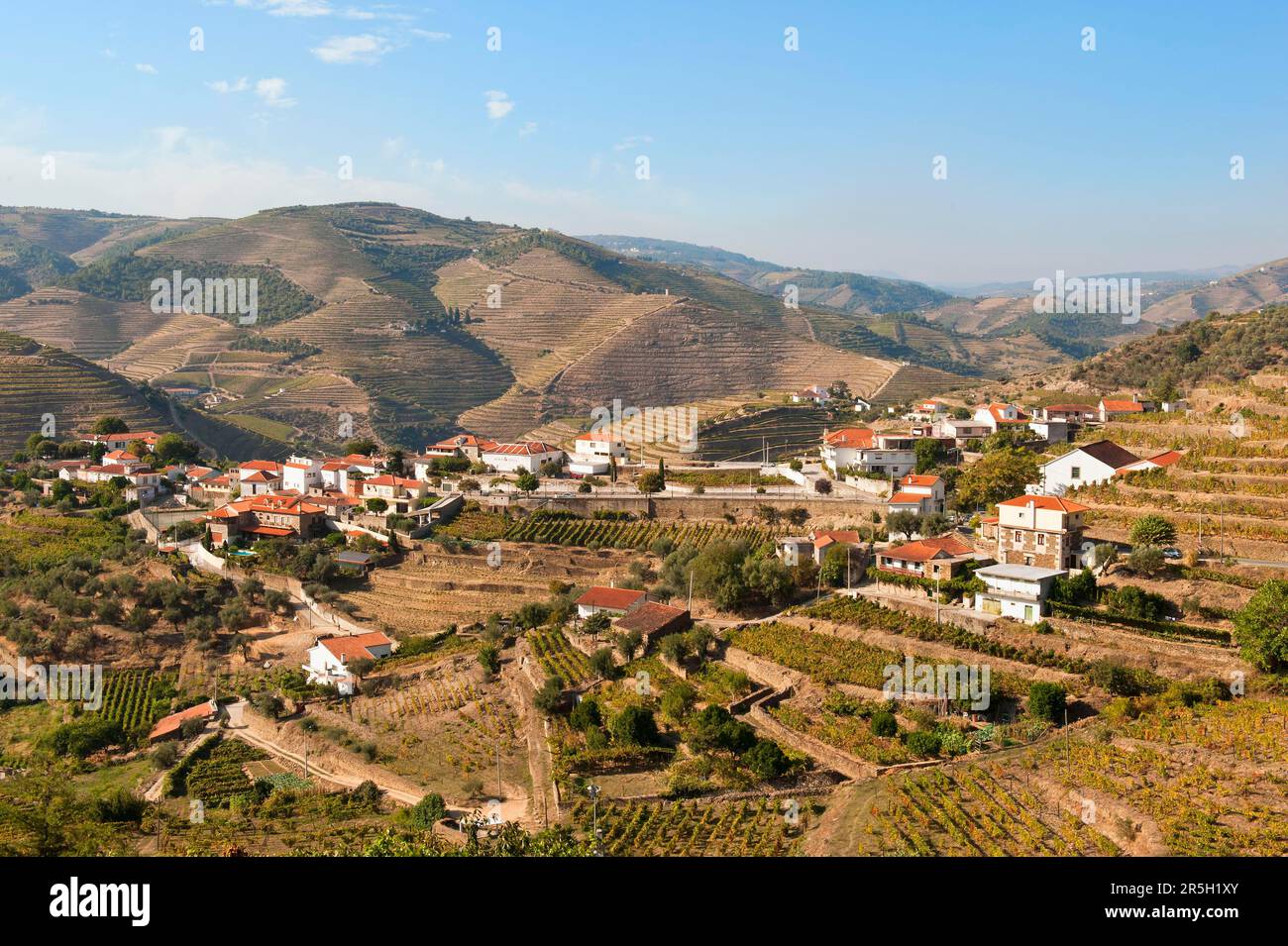 Alto Douro Wine Region, Porto Vineyards, Alto Douro, Tras-os-Montes, Portugal, Portwein Stockfoto