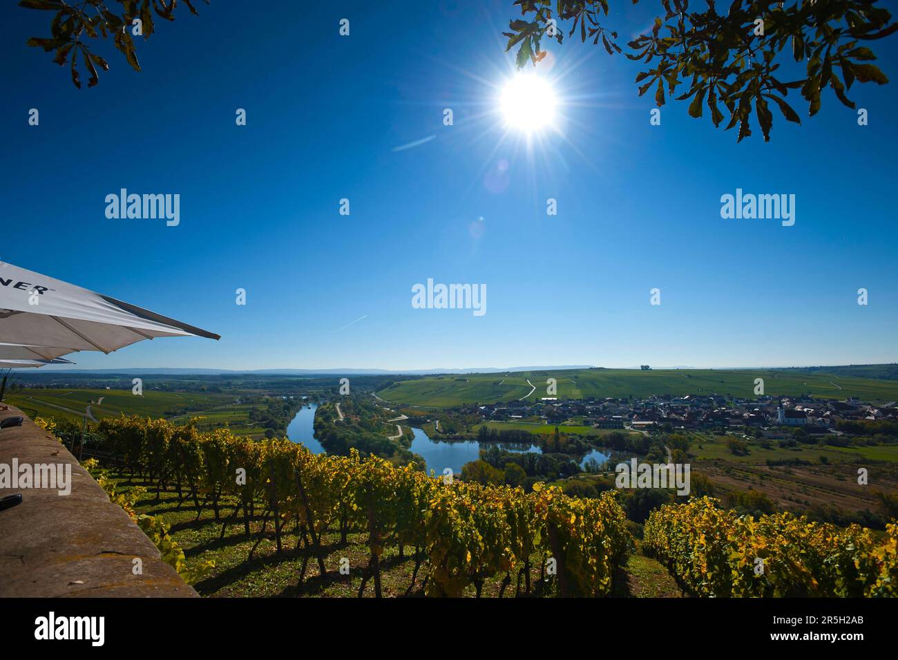 Blick vom Schloss Vogelsburg auf die alte Hauptroute, Niederfrankien, Franken, Bayern, Main, Deutschland Stockfoto