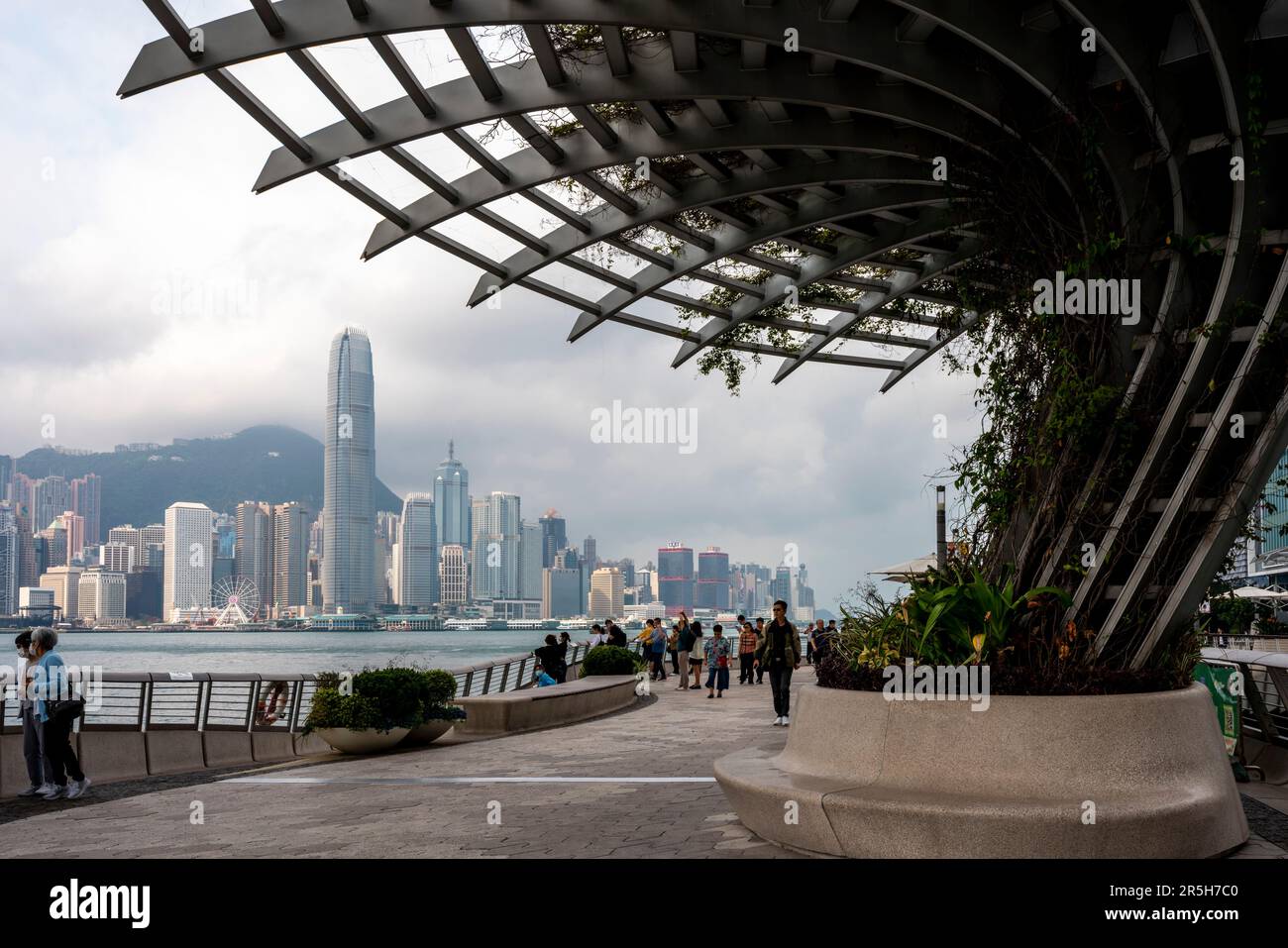 Blick auf Hong Kong Island von der Avenue of Stars, Kowloon, Hongkong, China. Stockfoto