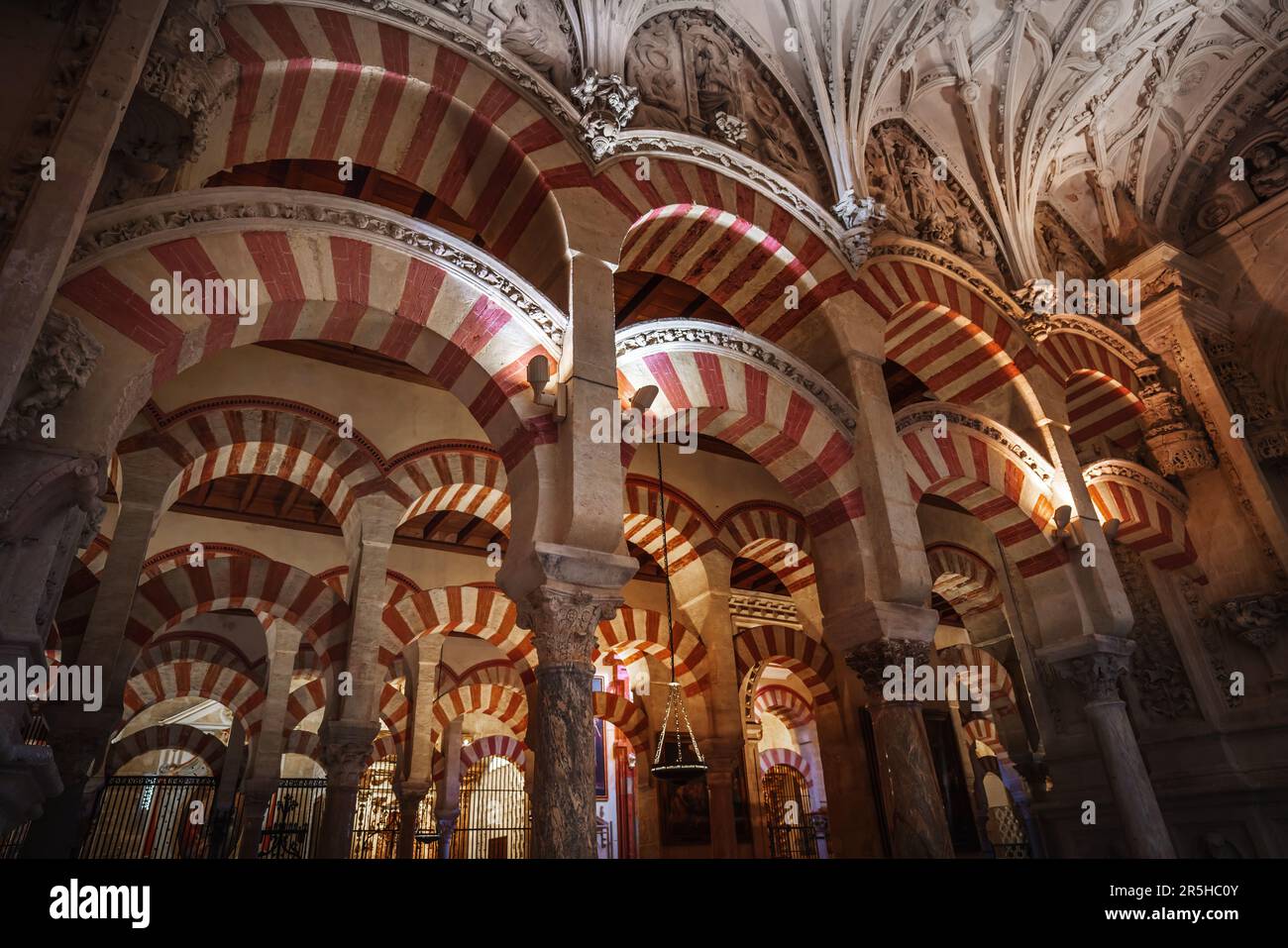 Bögen und Säulen der hypostilvollen Gebetshalle in der Moschee-Kathedrale von Cordoba (Al-Hakam II. Expasion) - Cordoba, Andalusien, Spanien Stockfoto