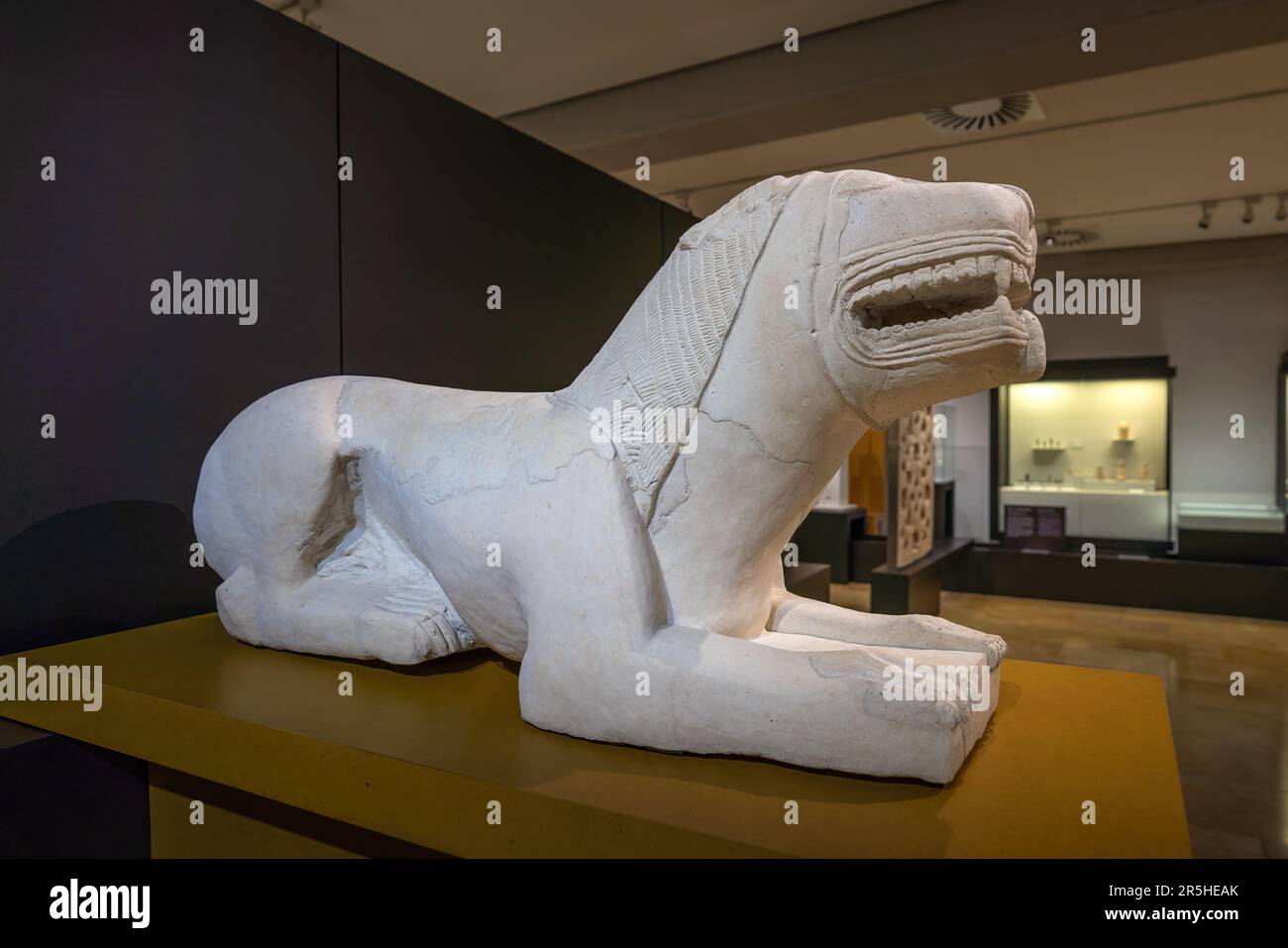 Iberischer Löwe von Nueva Carteya Skulptur im Archäologischen Museum von Cordoba - Cordoba, Andalusien, Spanien Stockfoto