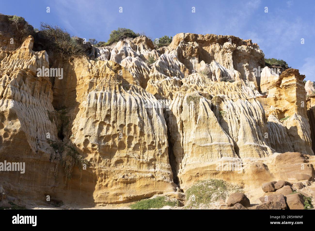 Die Half Moon Bay ist eine Bucht und Nachbarschaft in Port Phillip