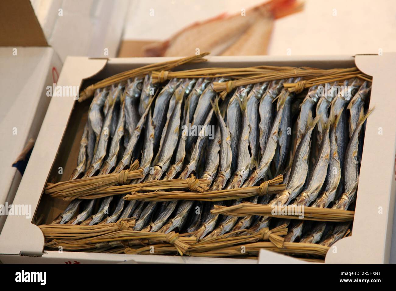 Getrockneter Fisch auf einem Fischmarkt in Tokio. Meeresfrüchte spielen eine wichtige Rolle im japanischen Leben Stockfoto