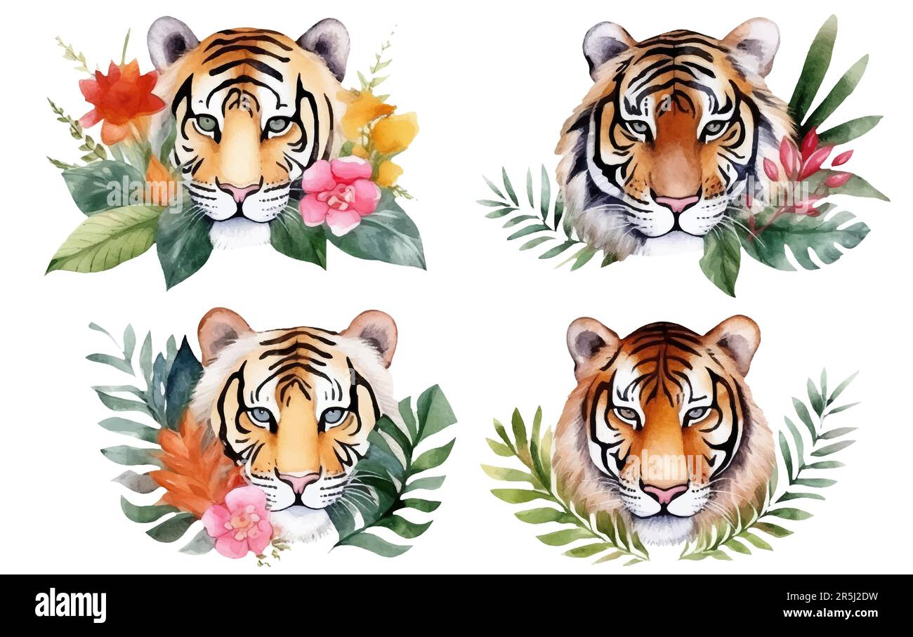 Aquarellfarben-Set-Darstellung von wilden Katzen Löwentiger isoliert auf weißem Hintergrund Stock Vektor