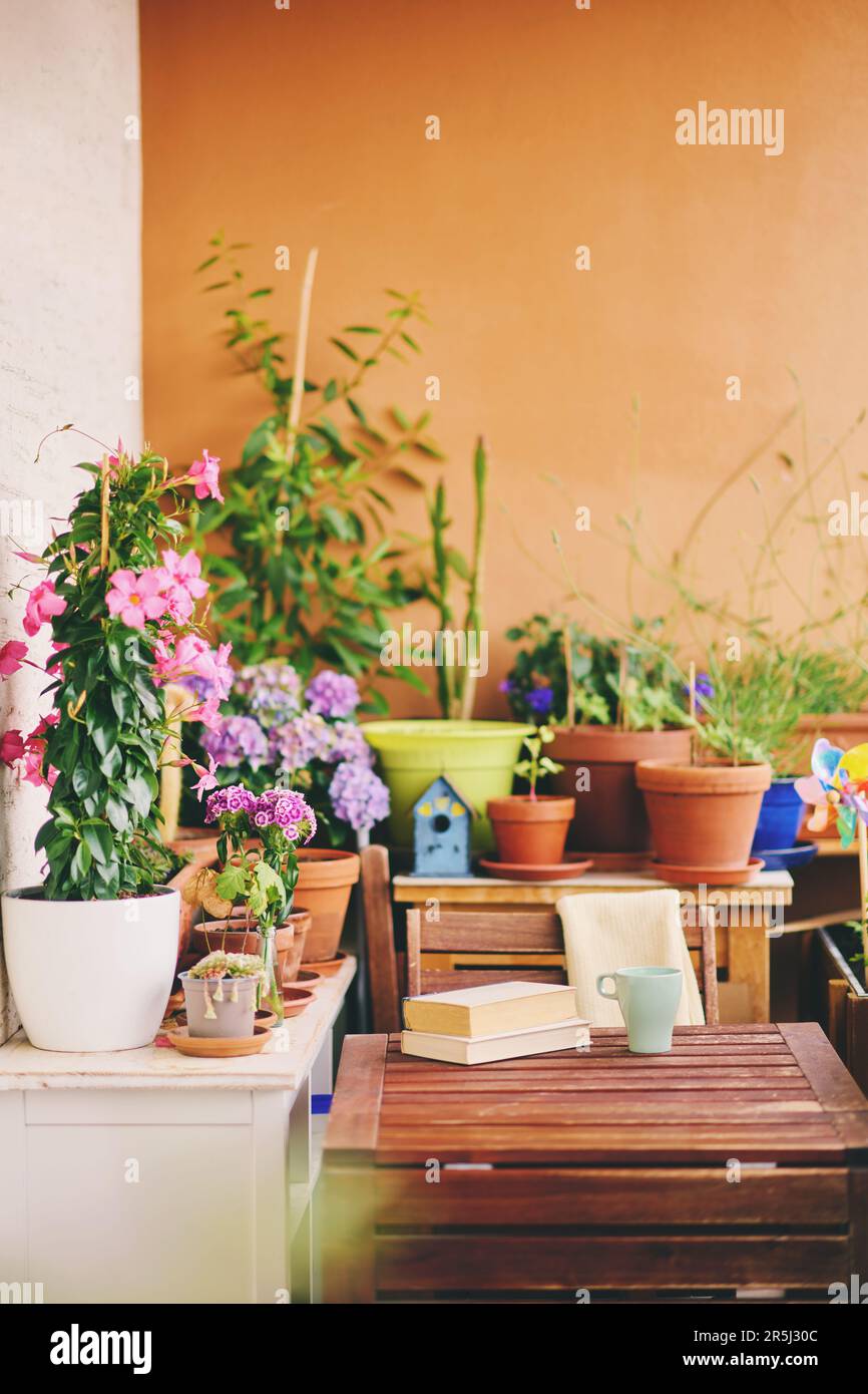 Gemütlicher Sommerbalkon mit vielen Topfpflanzen, einer Tasse Tee und einem alten Jahrbuch Stockfoto