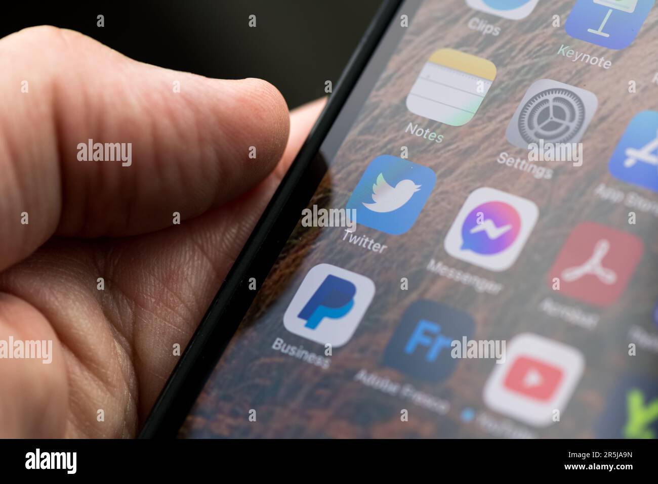Novi Sad, Serbien - 24. Mai 2023: Twitter-App-Symbol auf iPhone-Bildschirm, anschaulicher Editorial Stockfoto