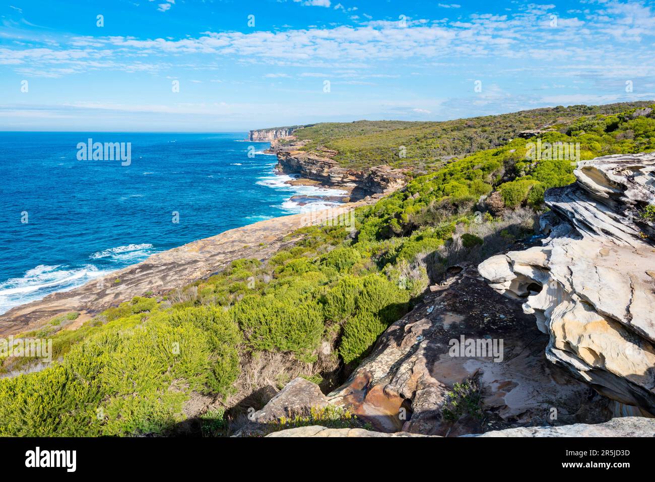 Die wenig wuchernde Wind- und salztolerante einheimische Vegetation bietet eine grüne Decke für die Küstenklippen entlang des Coast Walk in der Nähe von Bundeena, Australien Stockfoto