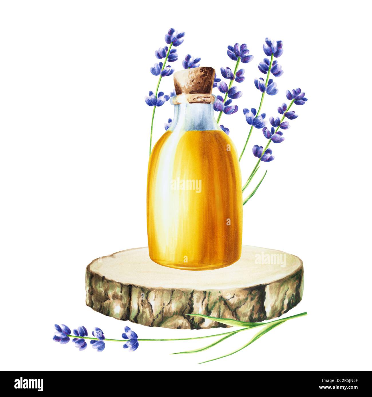 Wasserfarbene Ölglasflasche mit Korkverschluss auf einer Holzsäge, isoliert mit Lavendel auf weißem Hintergrund. Kosmetikprodukte und Botanik, Kosmetikartikel Stockfoto