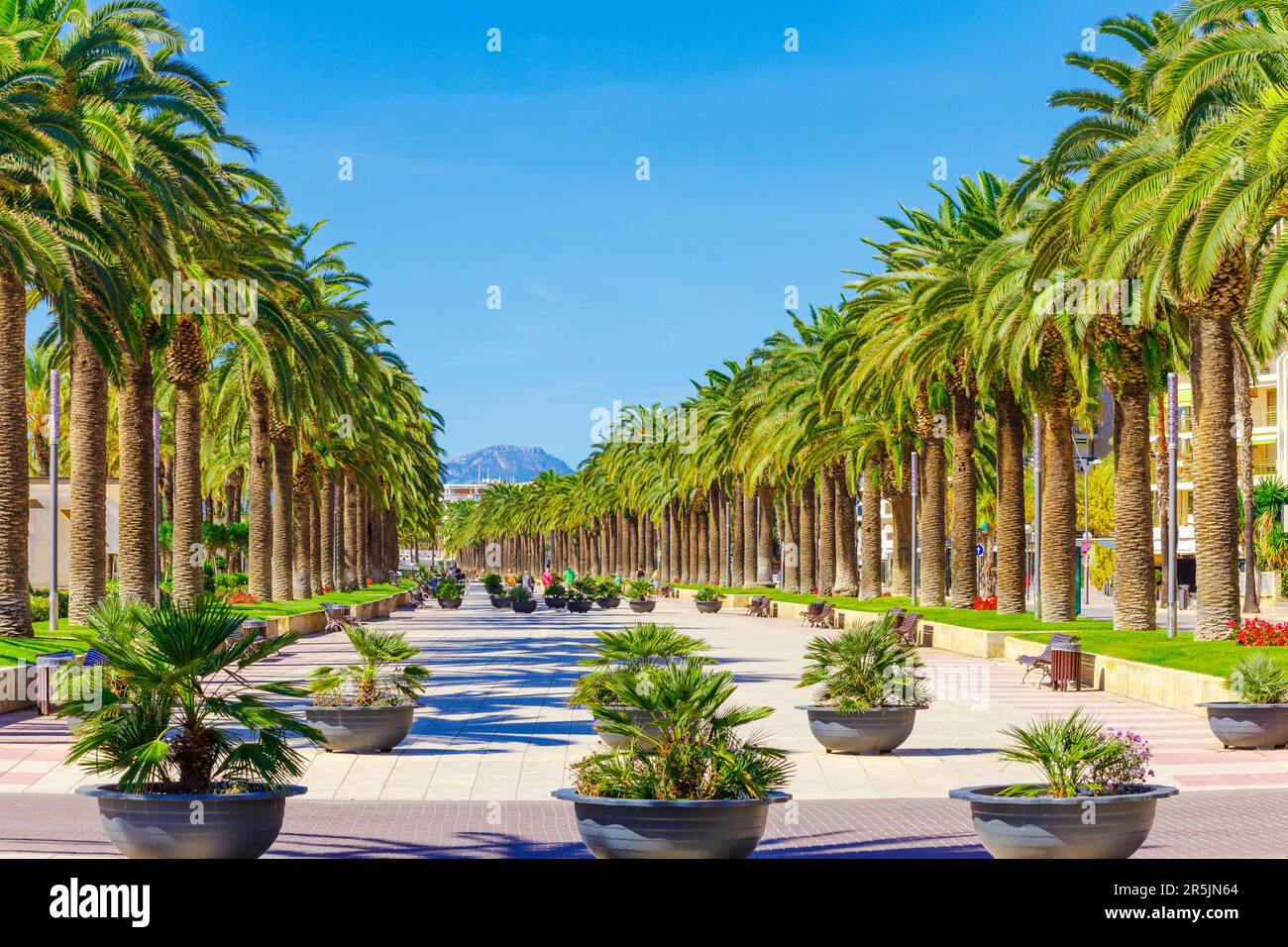 Blick auf die Promenade mit Palmen in Salou, Katalonien, Spanien, Europa Stockfoto