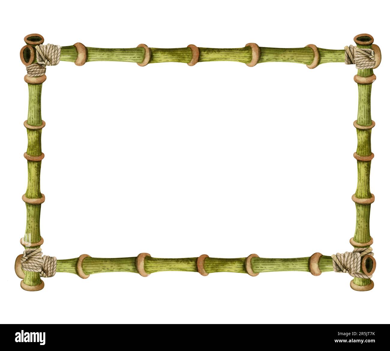 Bambusstämme mit Seilen in Aquarellfarbe, rechteckiger Rahmen für umweltfreundliche Designs und Dinosaurier-Partyeinladungen Stockfoto