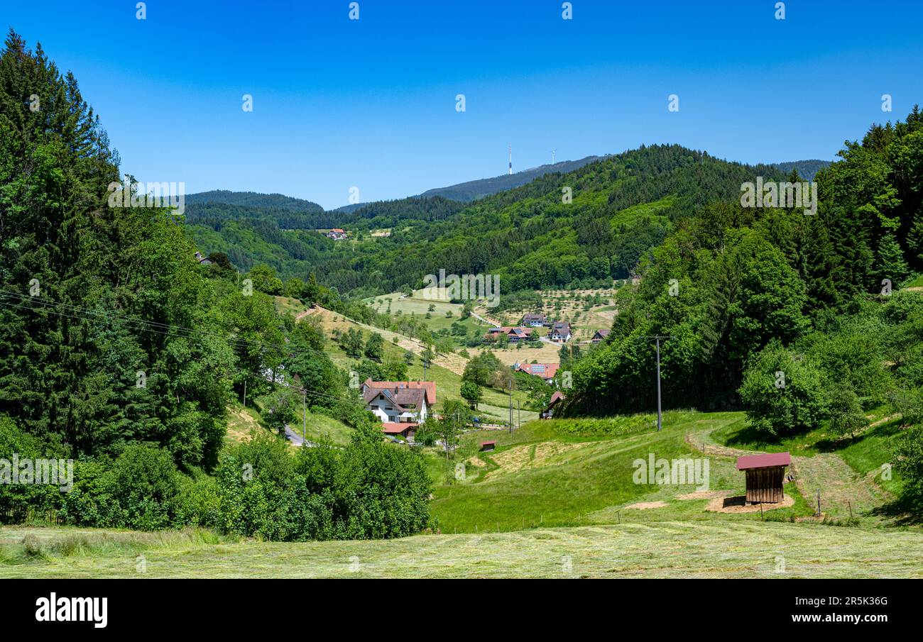 Blick auf Ottenhoefen im acher-Tal. Schwarzwald, Baden-Württemberg, Deutschland, Europa Stockfoto